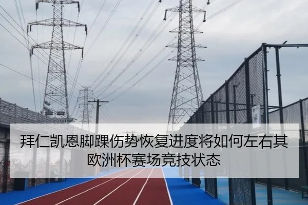 拜仁凯恩脚踝伤势恢复进度将如何左右其欧洲杯赛场竞技状态